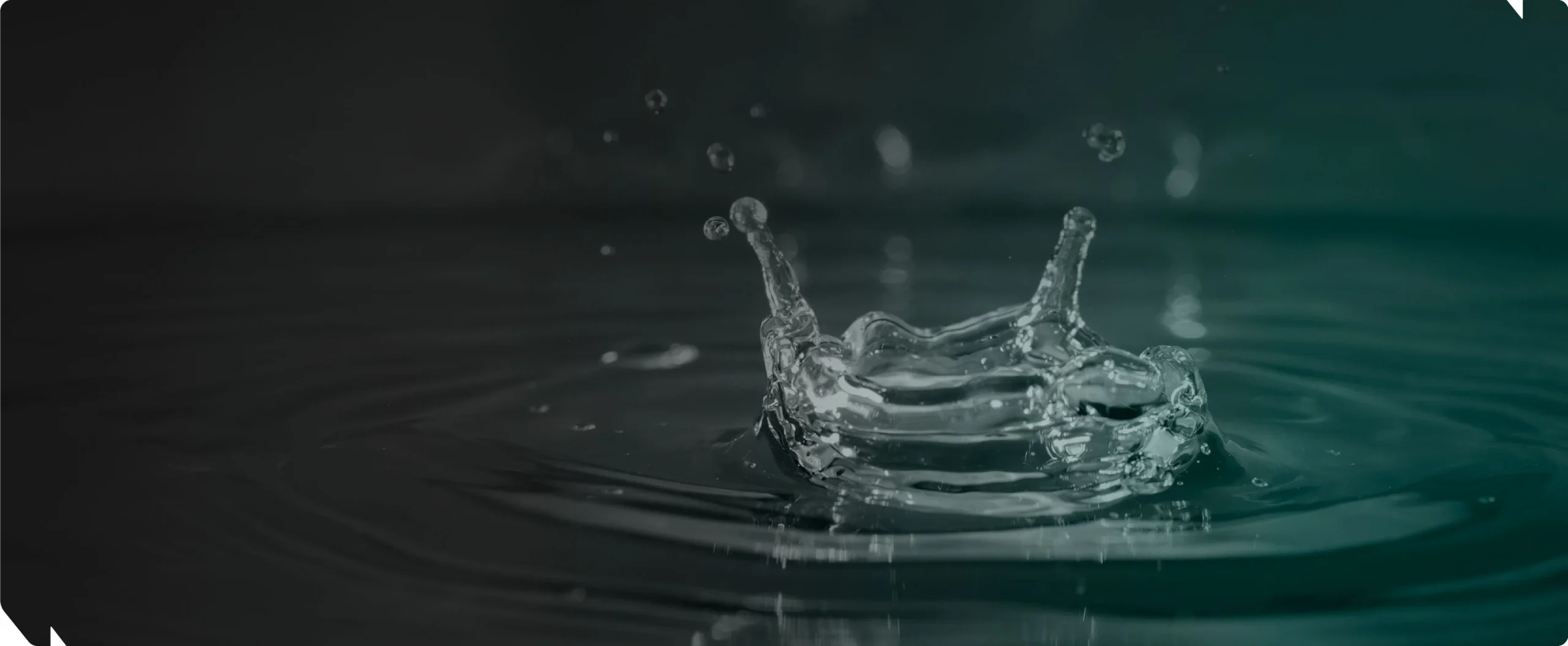 Water purification chemicals