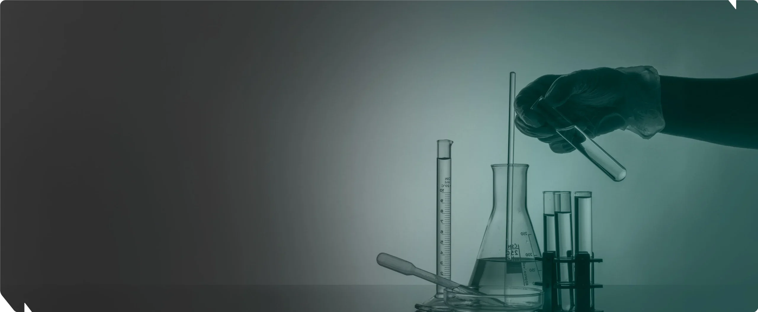 Specialty chemical manufacturer India